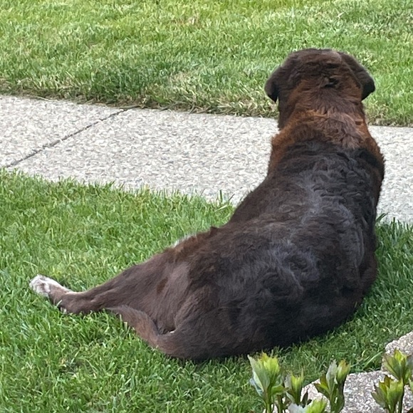 Meet your Posher, Angela - Picture 2 of 16